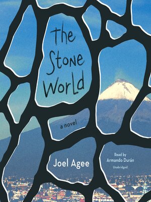 cover image of The Stone World
